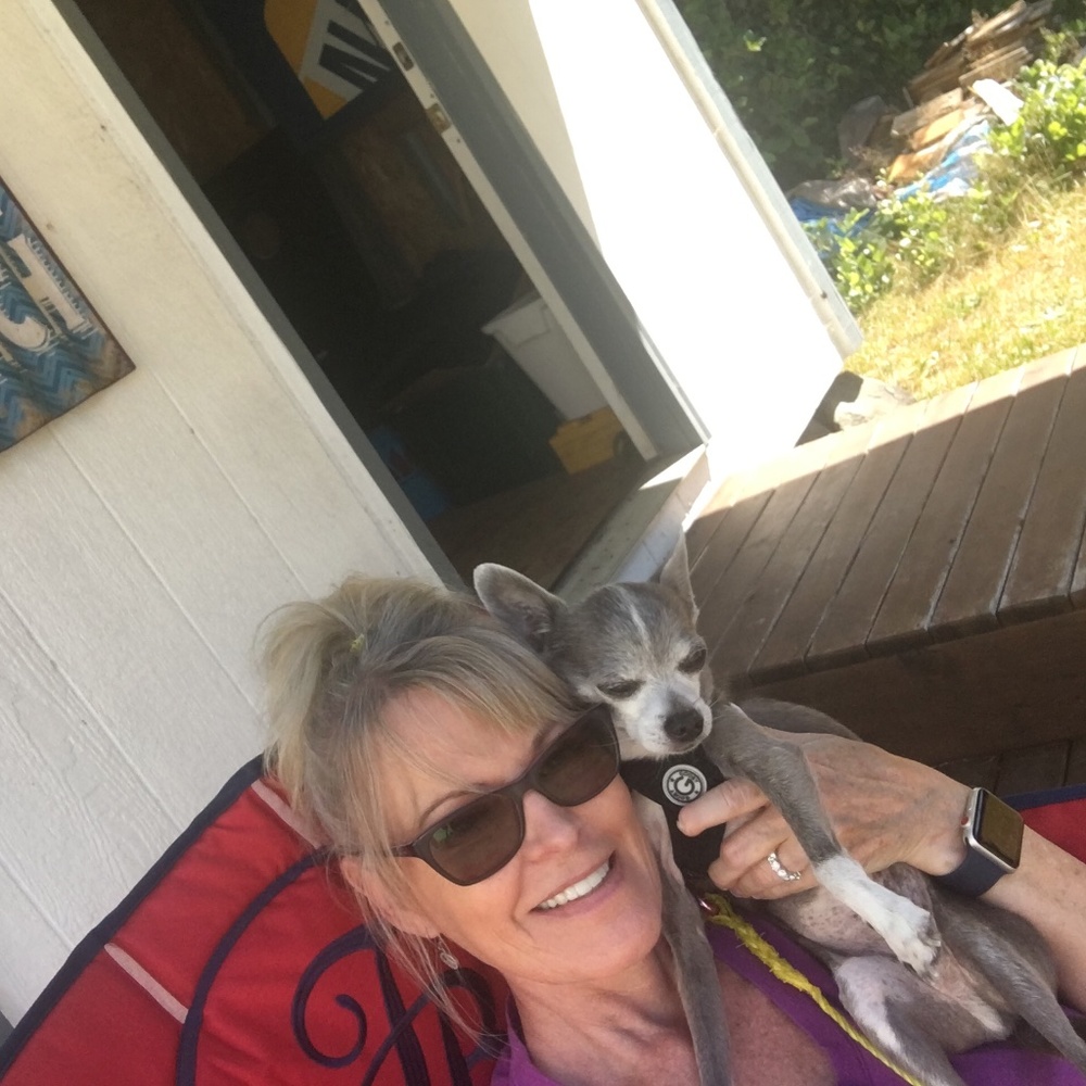 Meet your Posher, Posh